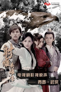 射雕英雄传（杨旭文版）