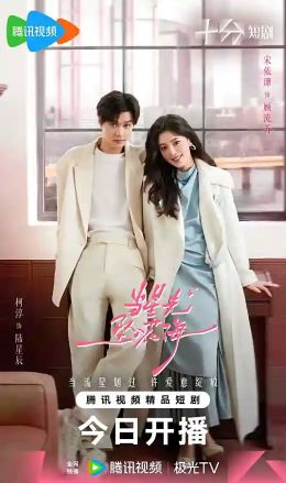 当星光坠入花海