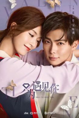 只为再次遇到你